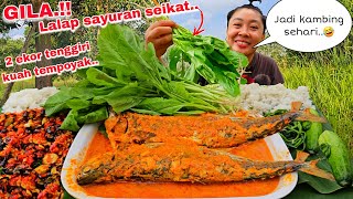 GILA ‼️2 EKOR TENGGIRI GULAI KUAH TEMPOYAK  SAMBAL KABAU LALAPAN SAYUR SE IKAT 🤣 [upl. by Sualk346]