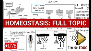 HOMEOSTASIS AND ENDCRINE SYSYTEM GRADE 12 LIFE SCIENCES PAPER 1 THUNDEREDUC BY MSAIDI [upl. by Annamaria]