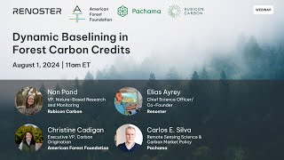 Dynamic Baselining in Forest Carbon Credits [upl. by Chemosh]