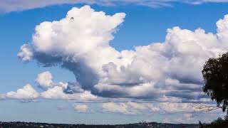 Cumulus Cloud Timelapse over Sydney [upl. by Carleen]