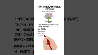 trick to learn examples of hypogynousperigynous and epigynous flowers share neet biology like [upl. by Astrix]