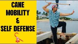 Cane Self Defense Cane Mobility amp Self Defense Techniques [upl. by Odlanir]