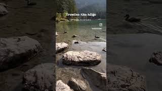 Un lago incantato da non perdere in Trentino Alto Adige consiglidiviaggio viaggiaresempre video [upl. by Yditsahc555]