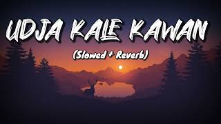 Udja Kale Kawan Slowed  Reverb  Gadar  Victory  Lofi Song  NYK Music Production [upl. by Yadsnil549]