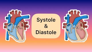 Systole und Diastole [upl. by Culliton192]