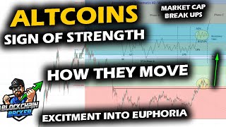 Knocking on the Door of SIGN OF STRENGTH in Altcoin Market as Bitcoin Price Chart Stalls [upl. by Monagan206]