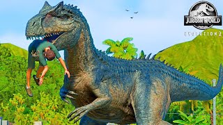 ALLOSAURUS vs CARNOTAURUS amp TREX Fighting and Human Hunting in Jurassic World Evolution 2 [upl. by Yhotmit]