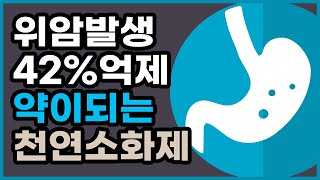 천연소화제 위장을 편하게 위에 좋은 음식 천연소화제 [upl. by Ocimad]