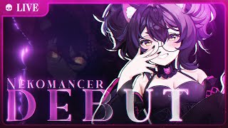 【DEBUT VTUBER】→ A BRUXA NEKOMANCER 🔮 [upl. by Arundel]