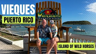 TOUR Vieques Puerto RicoIsland of Wild Horses and Bio Bay [upl. by Stutzman]