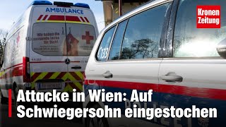 Stiegen hinabgestürzt  Attacke in Wien Auf Schwiegersohn eingestochen  kronetv NEWS [upl. by Anaugal]