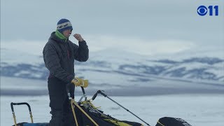 Iditarod 2019 Joar Leifseth Ulsom brushes while he mushes  Full Video [upl. by Langill]