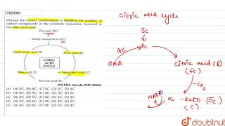 Choose the correct combination of labelling the numeberof carbon compounds in [upl. by Esoranna313]