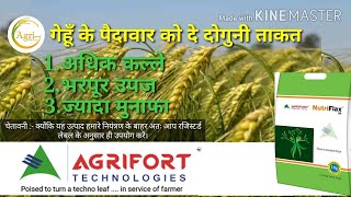 Agrifort NutriFlax GR  गेँहू धान व सब्जियों के लिए अधिक पैदावार [upl. by Ecirtap]