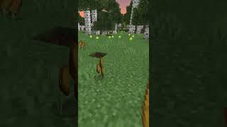 Hansel e Gretel MA sei su Minecraft [upl. by Yenoh164]