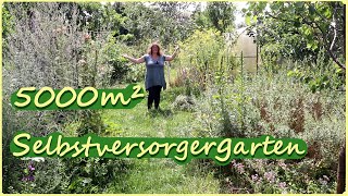 Riesen Gartenrundgang im Selbstversorgergarten [upl. by Pollie]