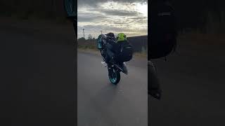 Yamaha mt 03 wheelie chile [upl. by Elehcar]