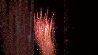 Traumhafter Feuertopf 🔥😱 fireworks feuerwerk pyro [upl. by Sweatt]