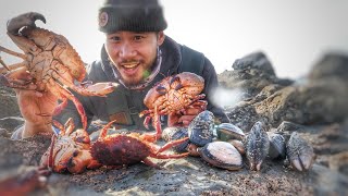 Coastal Foraging ALL THIS to Make Delicious Cioppino BIG Mussels Crabs Clams [upl. by Enamrahs751]