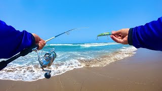 COMO saber DONDE PESCAR en PLAYA  pesca de orilla  pesca de róbalos  tips de pesca [upl. by Eric11]