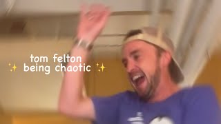 tom felton literally has no chill [upl. by Harald223]