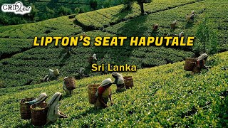 Liptons Seat Haputale  Sri Lanka  Grip2Mind VLOG 39 [upl. by Lezlie]