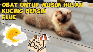 OBAT KUCING FLUE BERSIN BATUK DEMAM DI MUSIM HUJAN DAN DINGIN ANABUL KITA  Life Cat Diary Ep129 [upl. by Lafleur]