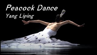 Yang Liping  The Soul of Peacock  Peacock Dance  Traditional Dance  HD 杨丽萍《雀之灵》完整版 高清 孔雀舞 傣族舞 [upl. by Butch572]