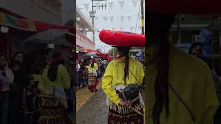 La Danza de Pánuco durante el paseo🤩mexico Pánuco Zacatecas SanJuanBautista Morismas 24deJunio [upl. by Dazraf]