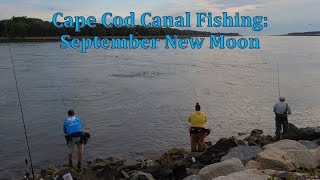 Cape Cod Canal Striped Fishing September 2024 New Moon [upl. by Littlejohn54]