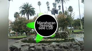 Sele Local String Band  Maraharan Seaside 🔥🍺🇻🇺 [upl. by Namhar919]