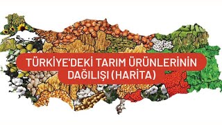 TÜRKİYEDEKİ TARIM ÜRÜNLERİ VE DAĞILIŞLARI [upl. by Kesia]