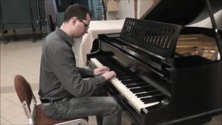 Kevin MacLeod Scheming Weasel fast version piano [upl. by Vez]