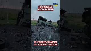 Покровское направление Z зет военкоры выдают за Курскую область армиярф война приколы россия [upl. by Leilah]