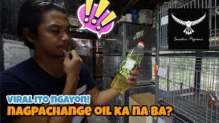 EFFECTIVE BA AT MAGANDANG IBIGAY ANG COD LIVER OIL SA MGA KALAPATI OR KAILANGAN NA MAGCHANGE OIL [upl. by Annoyi616]