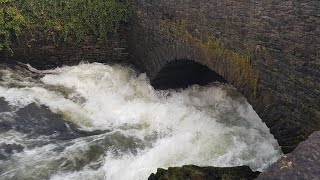 White Water Kayaking Under Backbarrow Bridge on the River Leven Lake District Jan 2018 [upl. by Kennie]