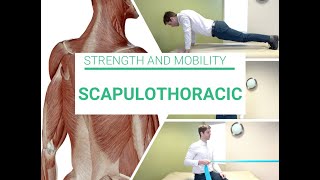 Scapulothoracic strength and mobility [upl. by Mccready]