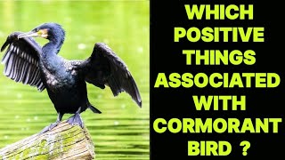 WHICH POSITIVE THINGS ASSOCIATED WITH THE CORMORANT BIRD [upl. by Landau]