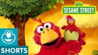 Sesame Street Bird Musical Preview  Elmo the Musical [upl. by Nicki751]