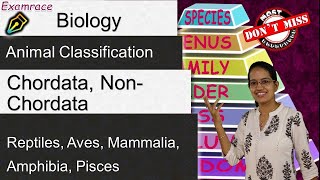 Animal Classification NonChordata Chordata  Reptiles Aves Mammalia Amphibia Pisces ICSE [upl. by Atarman]