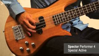 Spector  Performer 4 Special Active【デジマート製品動画】 [upl. by Marlette]