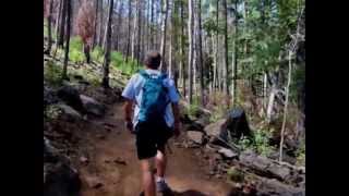 Lockett Meadow to Inner Basin Hike  Flagstaff AZ Part 1 of 2 [upl. by Onder]