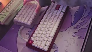 GMK67  Akko Penguin Silent Tactile Switches Sound Test [upl. by Tloh]