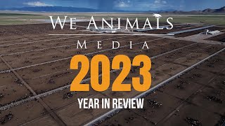 We Animals Media 2023 Year in Review [upl. by Lewin255]