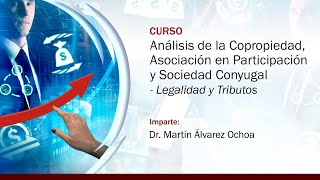 Análisis de la Copropiedad Asociación en Participación y Sociedad Conyugal Legalidad y Tributos [upl. by Yar]