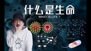 人类和病毒谁才是进化的顶峰？带你重新理解生命 What is life？ [upl. by Aihsaei]