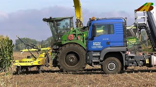 Großeinsatz Maishäckseln mit John Deere 9700 Traktor Fendt Claas Farmer Landwirtschaft 40 Maisernte [upl. by Htebazila610]