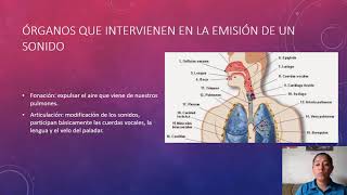 Las oposiciones fonológicas y los rasgos distintivos [upl. by Adleme]