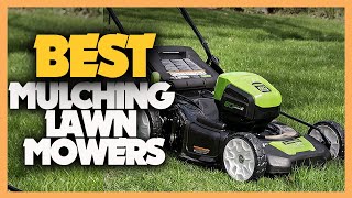 10 Best Mulching Lawn Mowers 2022 [upl. by Vidal]