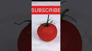 Tomatoes plant growing time lapse video trendingshorts timelapse [upl. by Gokey335]